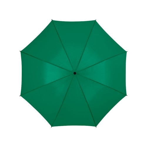 Зонт Barry 23" полуавтоматический, зеленый