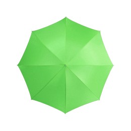 Зонт-трость "Lisa" полуавтомат 23", лайм (Р)