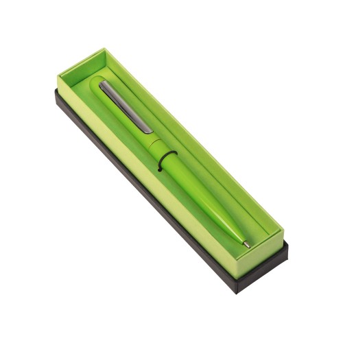 Ручка в футляре "Blooming Skate", зеленое яблоко