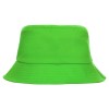 Хлопковая панама, зеленое яблоко