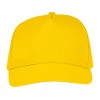 Пятипанельная кепка Hades, желтый