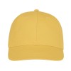 Шестипанельная кепка Ares, желтый