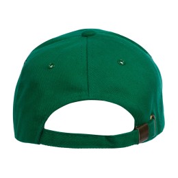 Бейсболка «Florida 350» 5-панельная, зеленый