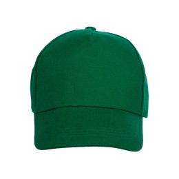 Бейсболка «Florida 350» 5-панельная, зеленый