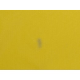 Длинный дождевик Lanai  из полиэстера со светоотражающей тесьмой, желтый