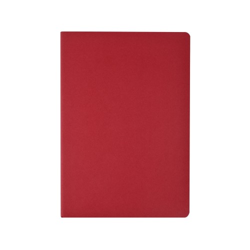 Бизнес-тетрадь А4 "Pragmatic",  40л., клетка, красный