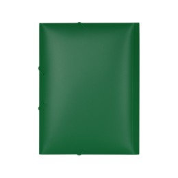 Папка формата А4 на резинке, зеленый