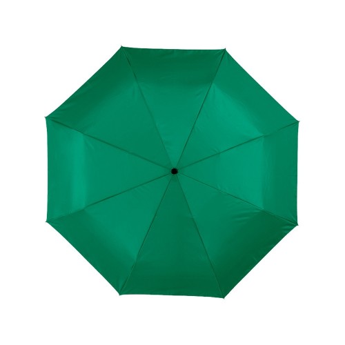 Зонт Alex трехсекционный автоматический 21,5", зеленый