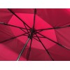 Зонт-автомат складной Кэнопи, красный