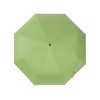 Зонт-автомат Dual с двухцветным куполом, зеленое яблоко/черный (Р)