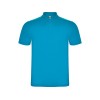 Рубашка поло "Austral" мужская, бирюзовый