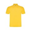 Рубашка поло "Austral" мужская, желтый