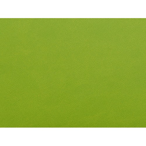 Блокнот А6 Riner, зеленое яблоко