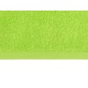 Полотенце Terry L, 450, зеленое яблоко