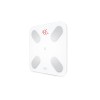 Умные диагностические весы Picooc Mini Pro V2 (6924917717377), белый