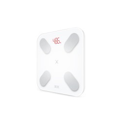 Умные диагностические весы Picooc Mini Pro V2 (6924917717377), белый