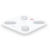 Умные диагностические весы Picooc Mini Pro V2 (6924917717377), белый