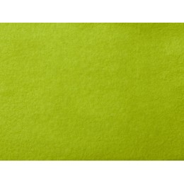 Плед «Нежность» с плечевым ремнем, зеленое яблоко