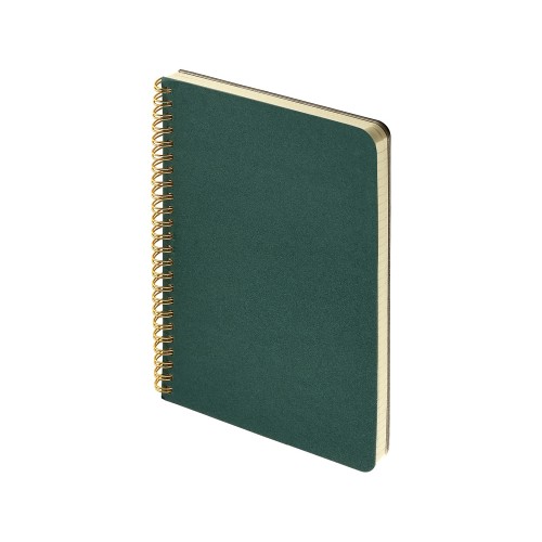 Бизнес тетрадь на гребне А5 "Pragmatic", 60 листов в клетку, зеленый