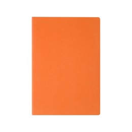 Бизнес тетрадь А5 "Pragmatic", 40 листов в клетку, оранжевый