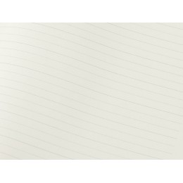 Бизнес-блокнот "С3" софт-тач с магнитом, твердая обложка, 96 листов, черный