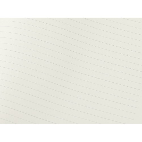 Бизнес-блокнот "С3" софт-тач с магнитом, твердая обложка, 96 листов, черный