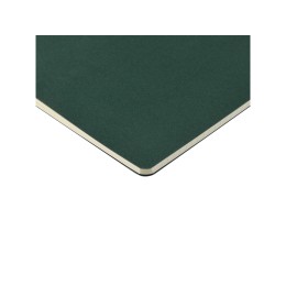 Бизнес тетрадь А5 "Pragmatic", 40 листов в клетку, зеленый