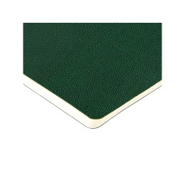 Бизнес-тетрадь А5 "Megapolis Loft Flex" 60 л., линейка, зеленый