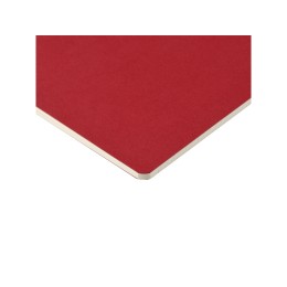 Бизнес-тетрадь А4 "Pragmatic",  40л., клетка, красный