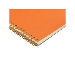 Бизнес тетрадь на гребне А5 "Pragmatic", 60 листов в клетку, оранжевый