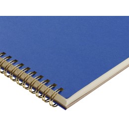 Бизнес тетрадь на гребне А4 "Pragmatic", 100 листов в клетку, синий