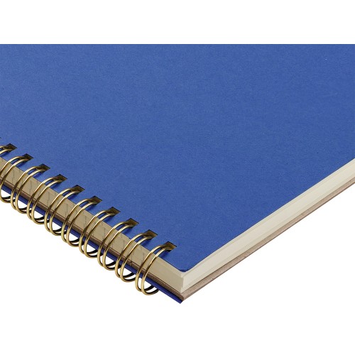 Бизнес тетрадь на гребне А4 "Pragmatic", 100 листов в клетку, синий