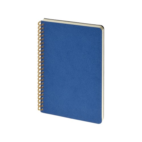 Бизнес тетрадь на гребне А5 "Pragmatic", 60 листов в клетку, синий