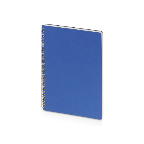 Бизнес тетрадь на гребне А4 "Pragmatic", 100 листов в клетку, синий