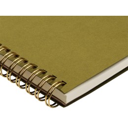 Бизнес тетрадь на гребне А5 "Pragmatic", 60 листов в клетку, зеленый хаки