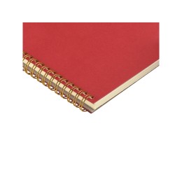 Бизнес тетрадь на гребне А5 "Pragmatic", 60 листов в клетку, красный