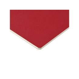 Бизнес тетрадь А5 "Pragmatic", 40 листов в клетку, красный