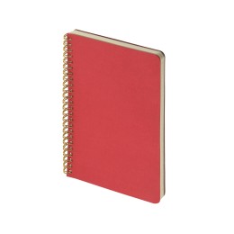 Бизнес тетрадь на гребне А5 "Pragmatic", 60 листов в клетку, красный