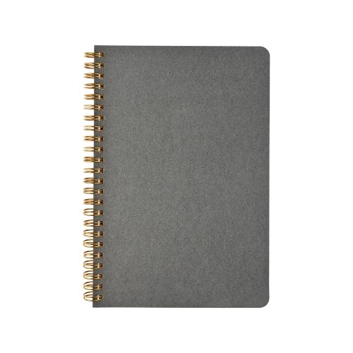 Бизнес тетрадь на гребне А5 "Pragmatic", 60 листов в клетку, серый