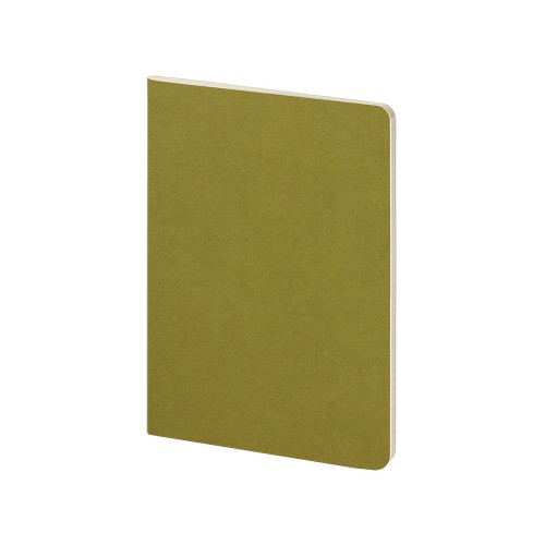 Бизнес тетрадь А5 "Pragmatic", 40 листов в клетку, зеленый хаки