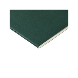 Бизнес тетрадь А5 "Pragmatic", 40 листов в клетку, зеленый