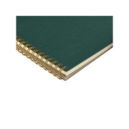 Бизнес тетрадь на гребне А5 "Pragmatic", 60 листов в клетку, зеленый