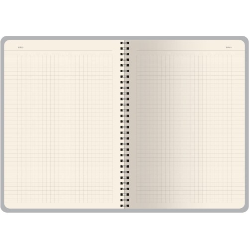 Бизнес тетрадь на гребне А5 "Pragmatic", 60 листов в клетку, красный