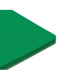 Блокнот "Audrey" А5 на сшивке в гибкой обложке софт-тач, зеленый