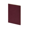 Бизнес тетрадь А5 "Pragmatic", 40 листов в клетку, бордовый