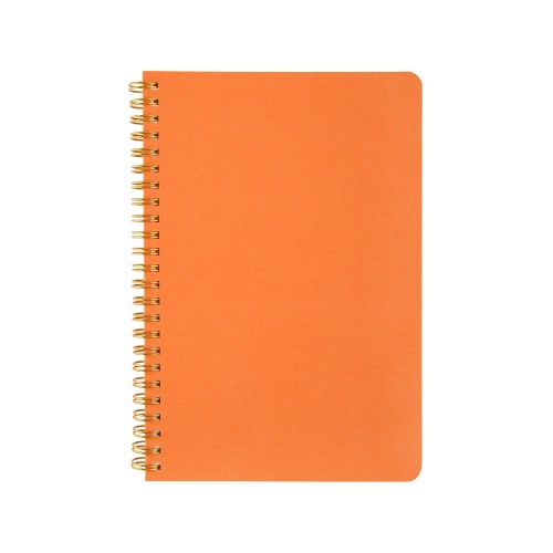 Бизнес тетрадь на гребне А5 "Pragmatic", 60 листов в клетку, оранжевый