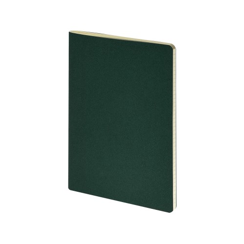 Бизнес-тетрадь А4 "Pragmatic",  40л., клетка, зеленый