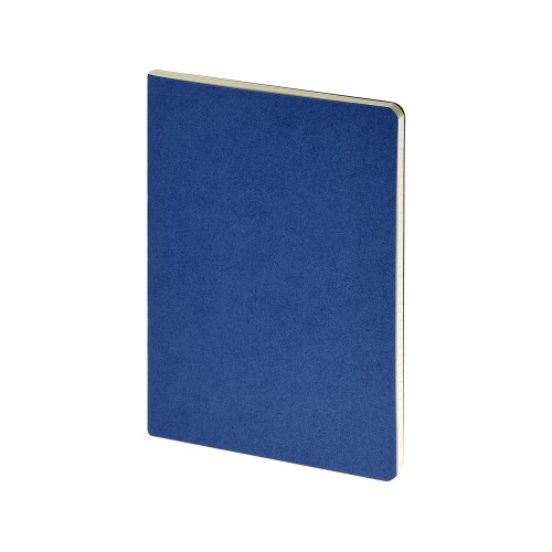 Бизнес тетрадь А5 "Pragmatic", 40 листов в клетку, синий