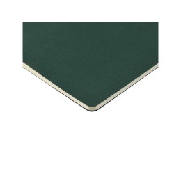 Бизнес-тетрадь А4 "Pragmatic",  40л., клетка, зеленый