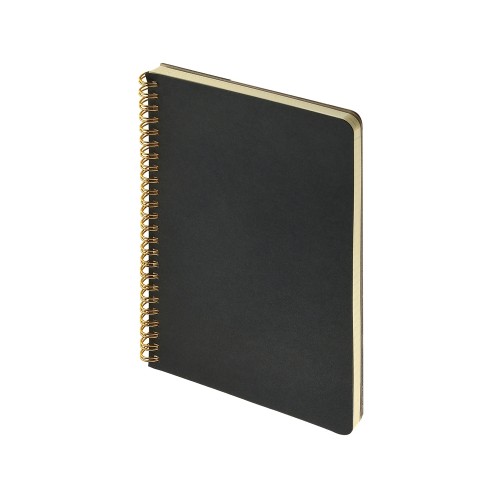 Бизнес тетрадь на гребне А5 "Pragmatic", 60 листов в клетку, черный